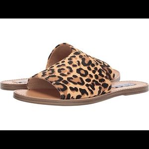 Steve Madden Leopard print sandals
